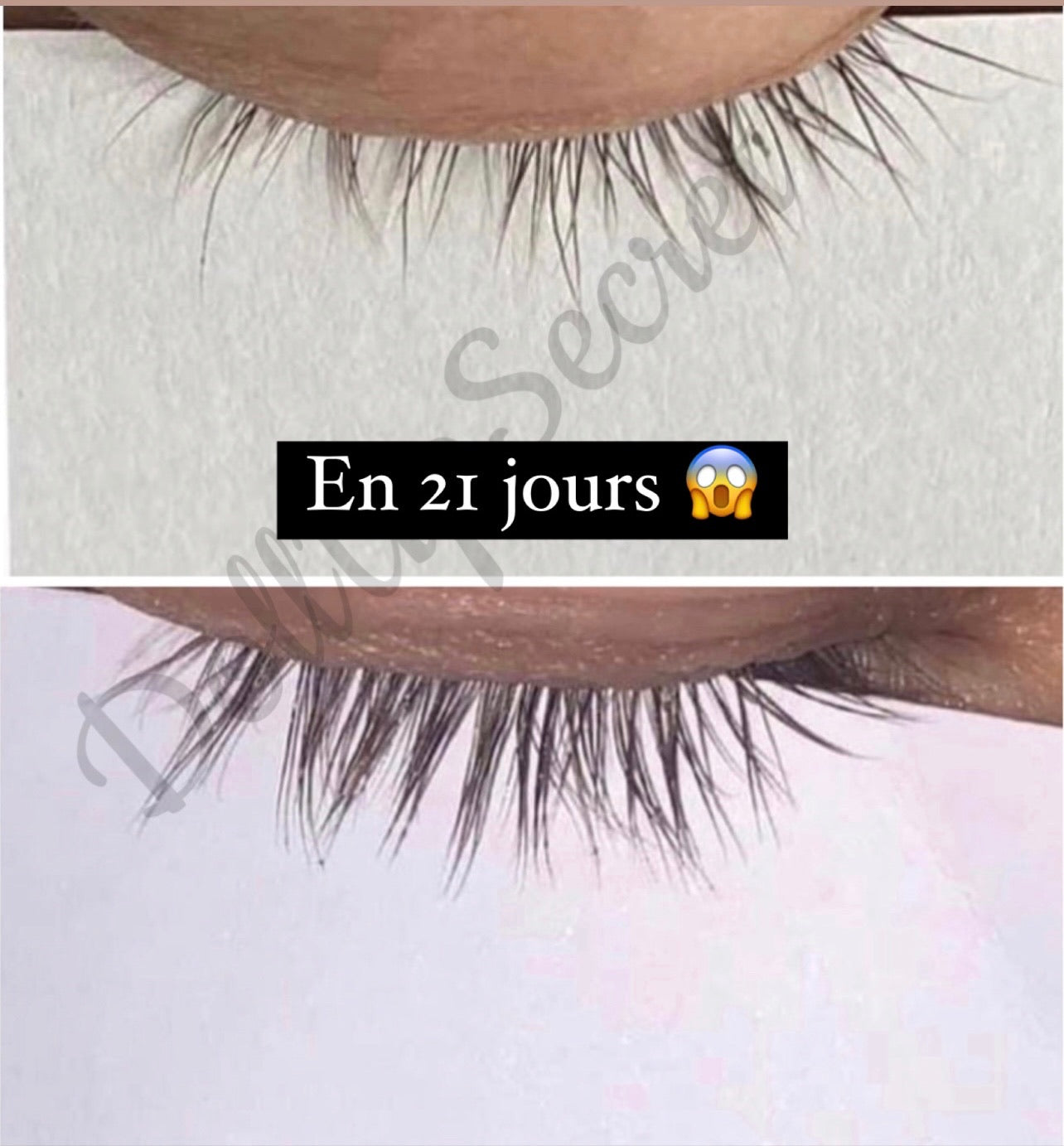 Dollash© 3 en 1 - Crème pousse cils, sourcils et soin contour des yeux (10g)